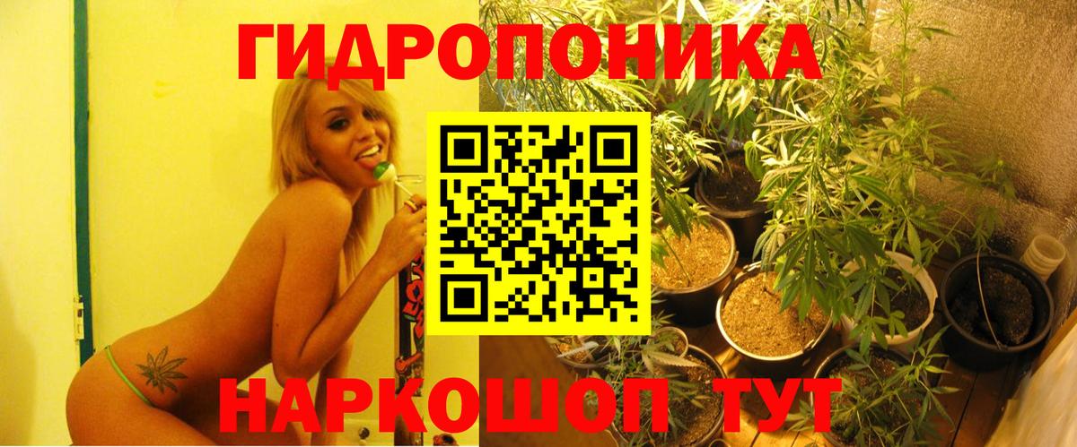 МАРИХУАНА сатива Керчь